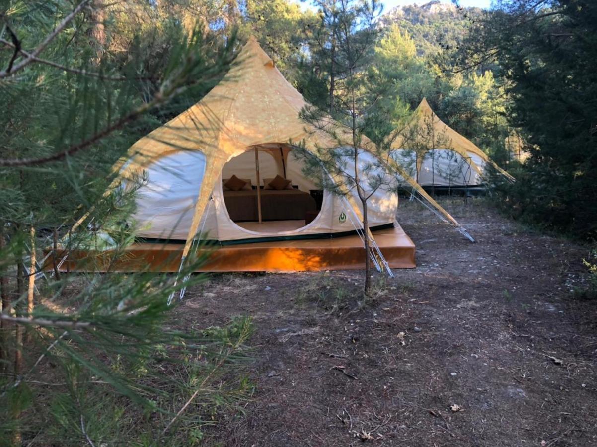 Eleousa Vinsan Glamping & Wellness Centre酒店 外观 照片