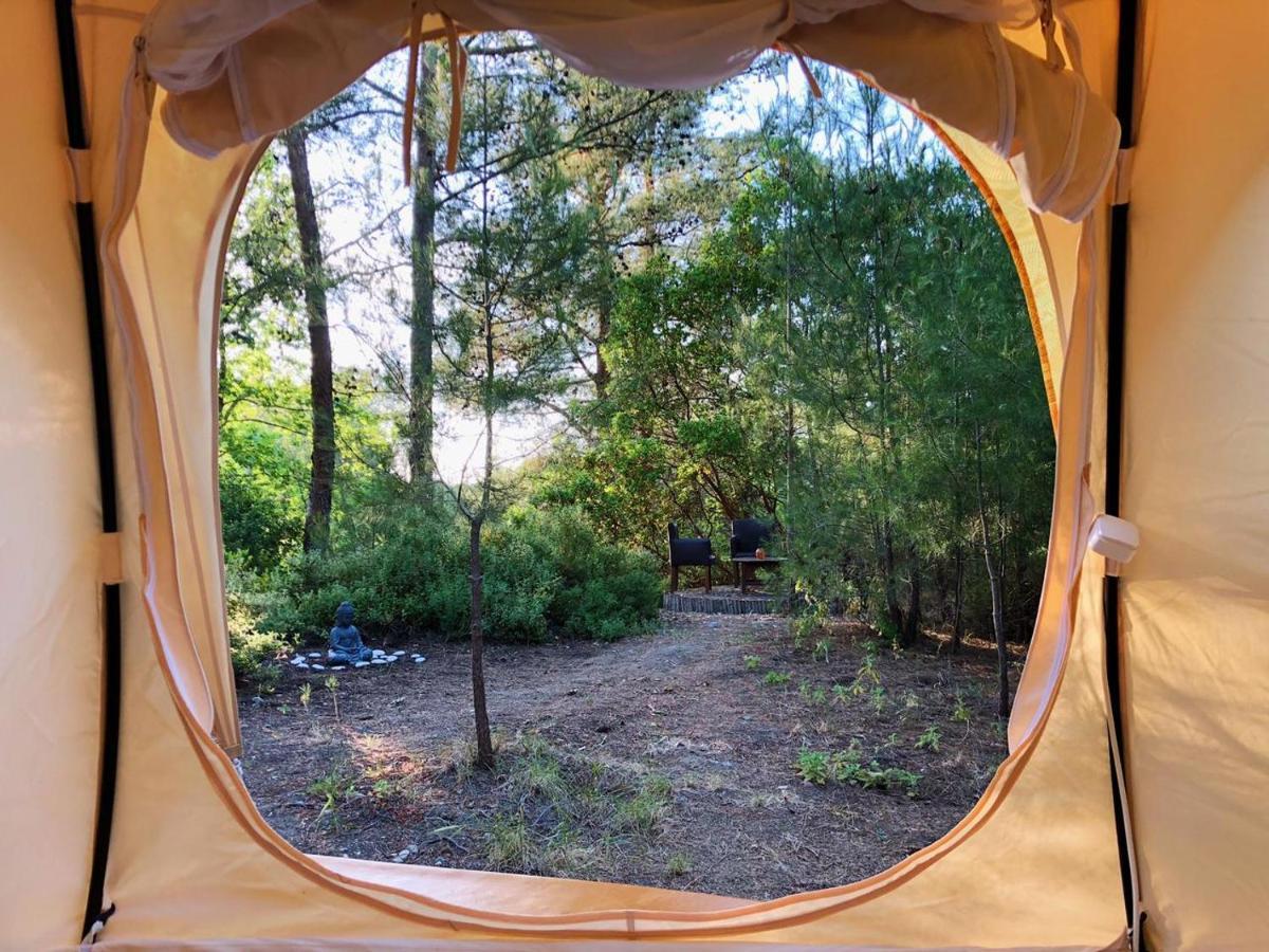 Eleousa Vinsan Glamping & Wellness Centre酒店 外观 照片