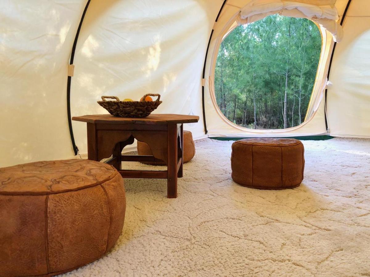 Eleousa Vinsan Glamping & Wellness Centre酒店 外观 照片