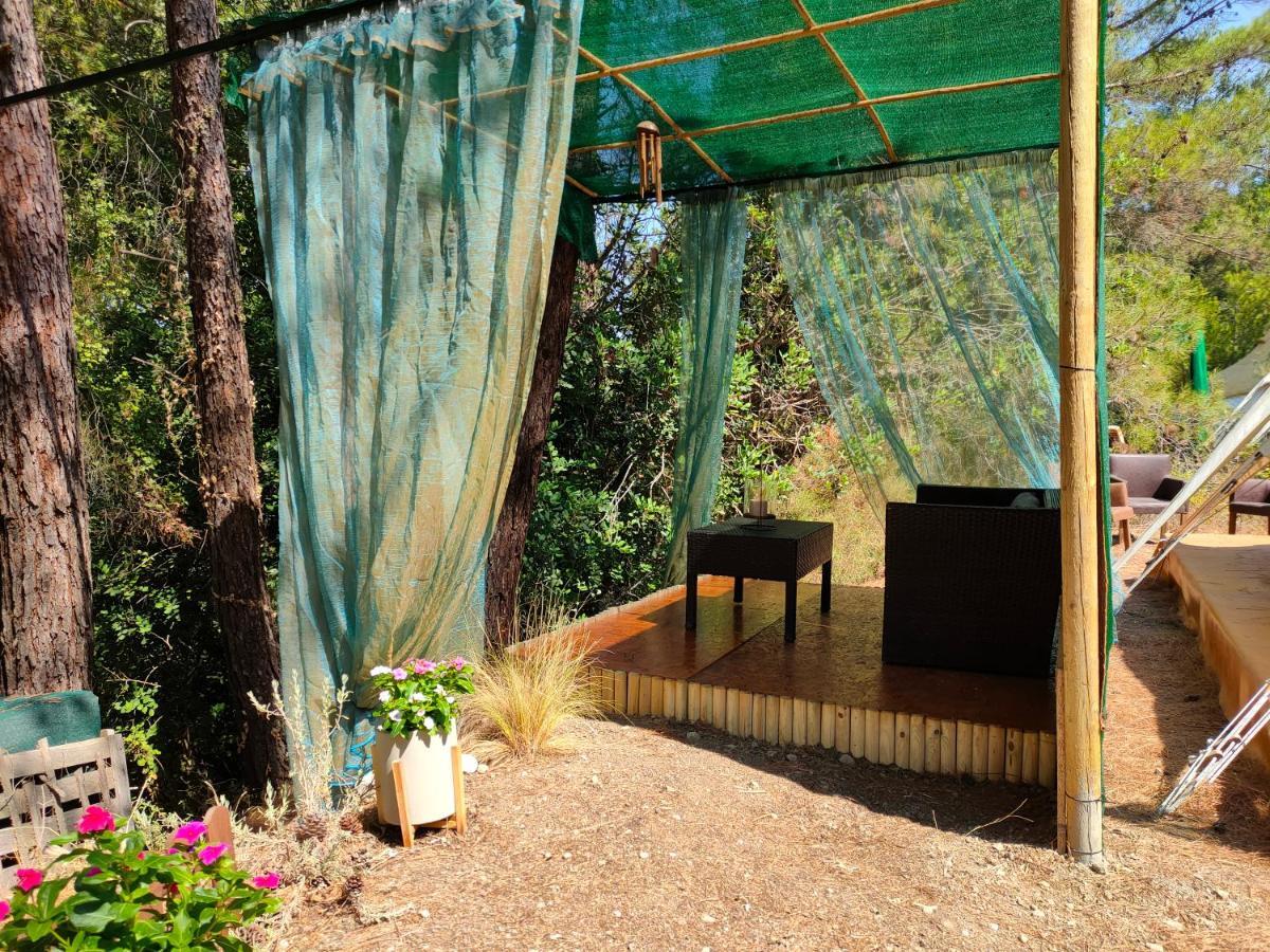 Eleousa Vinsan Glamping & Wellness Centre酒店 外观 照片