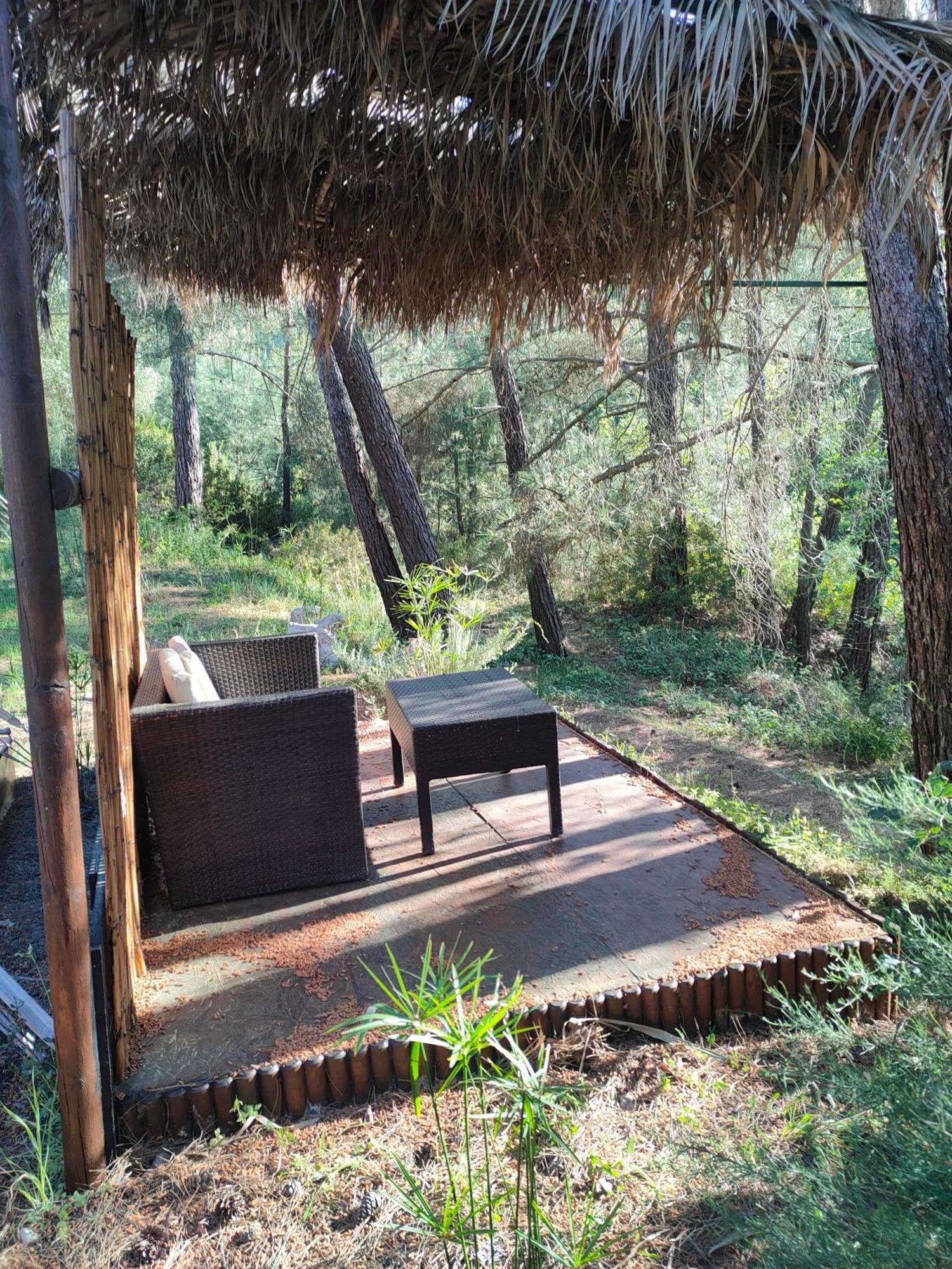Eleousa Vinsan Glamping & Wellness Centre酒店 外观 照片