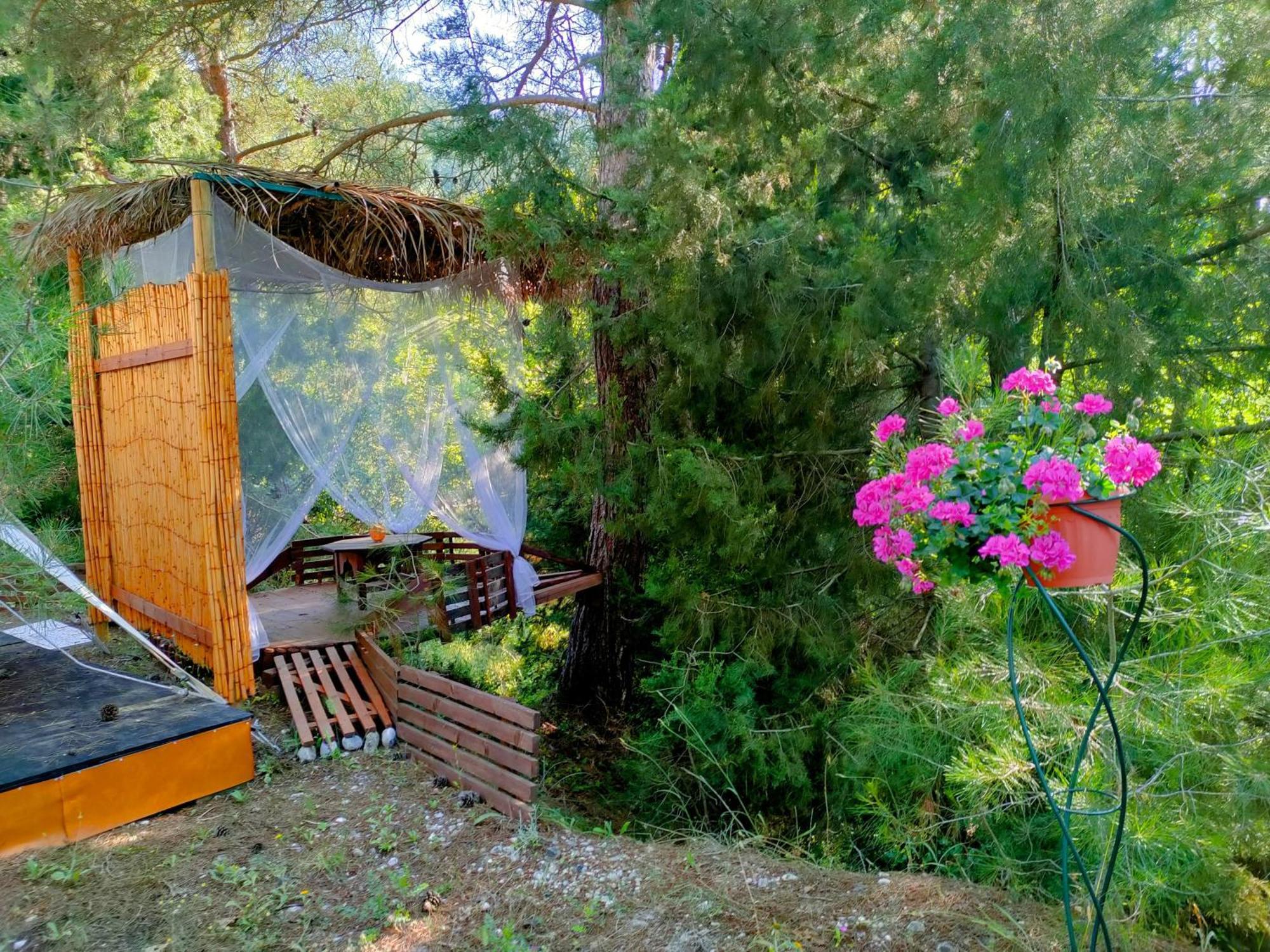 Eleousa Vinsan Glamping & Wellness Centre酒店 外观 照片